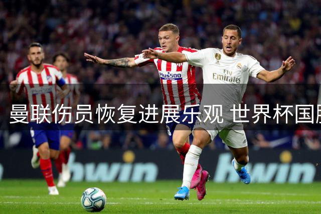 曼联伤员恢复进展乐观 世界杯国脚陆续归队备战新赛季